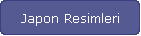Japon Resimleri