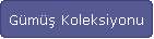 Gümüş Koleksiyonu
