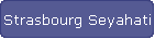 Strasbourg Seyahati
